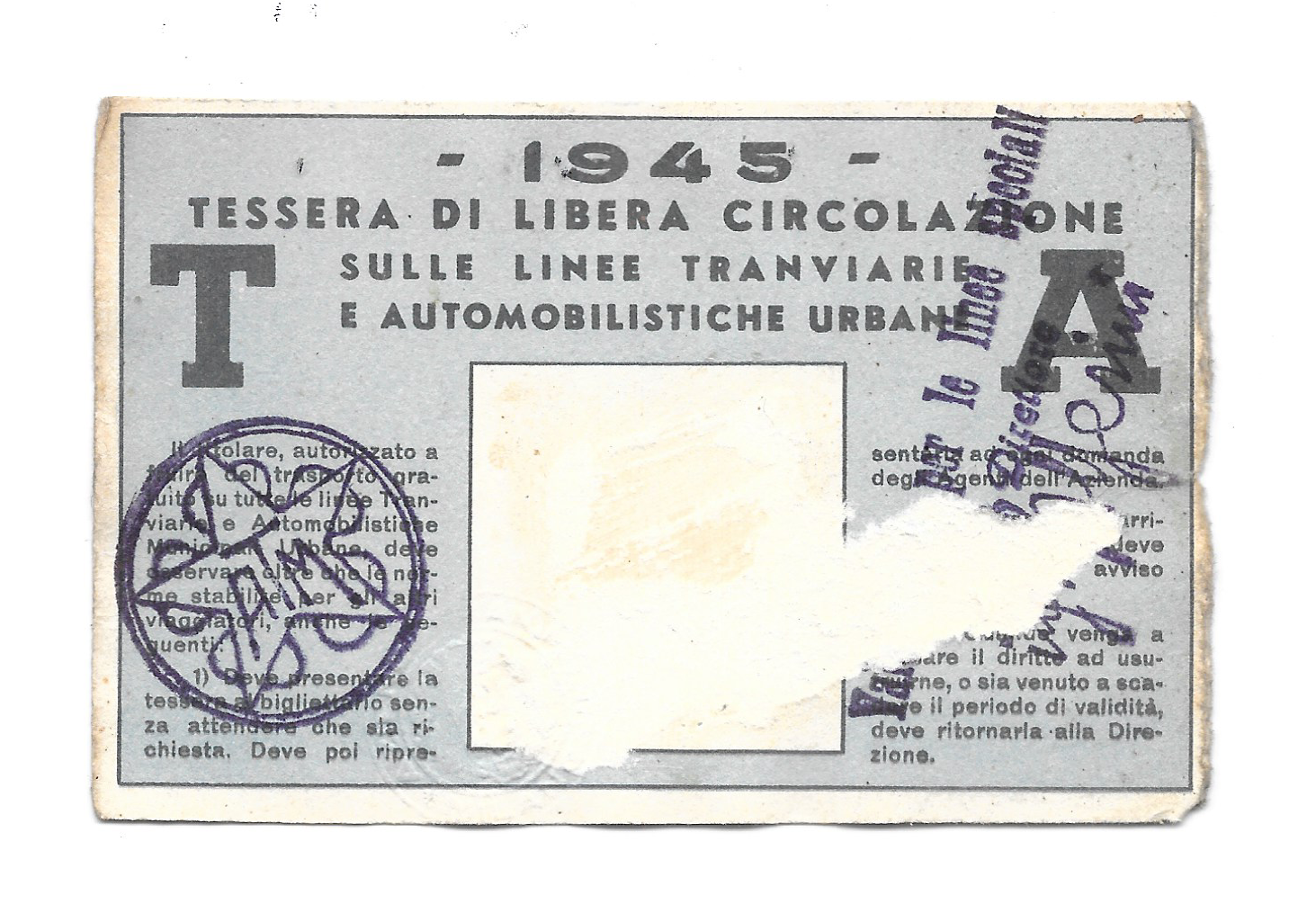 TV-DOP-0023, retro (verso)